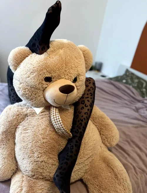 Thumbnail Playful Bear Fun in Pantyhose | Eva-Lopez69