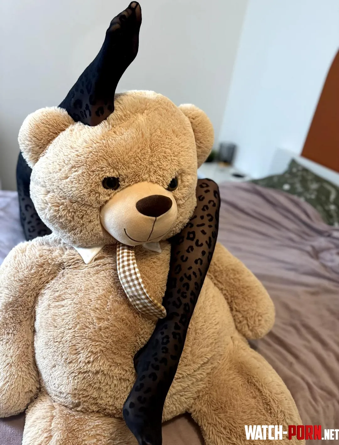 Playing with my bear wearing pantyhose  by Eva-Lopez69