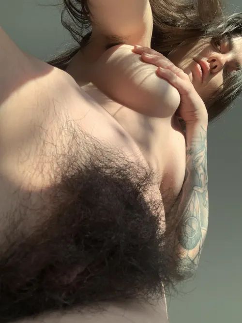Thumbnail Unveiling the Secret of My Hairy Self - thefullbush by 9fruitsforbats6
