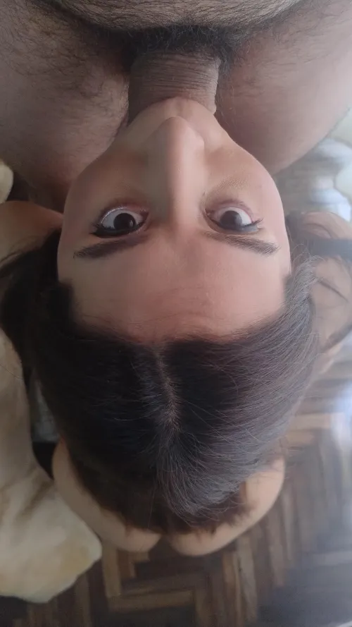 Thumbnail Model_team's Love for Going Down | Category: Blowjobs
