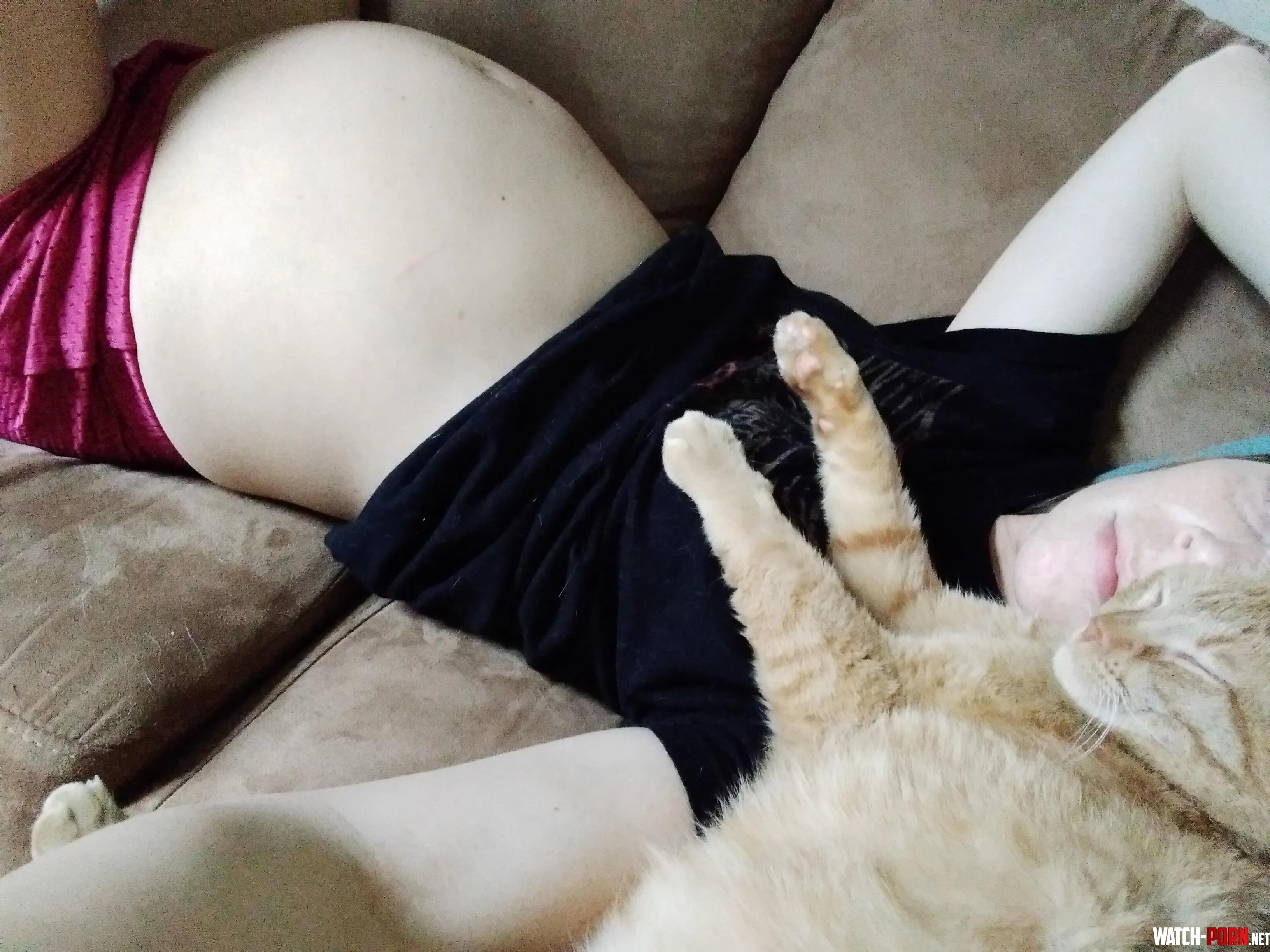 My pussy cat loves pregnant cuddles by PregnantGlow