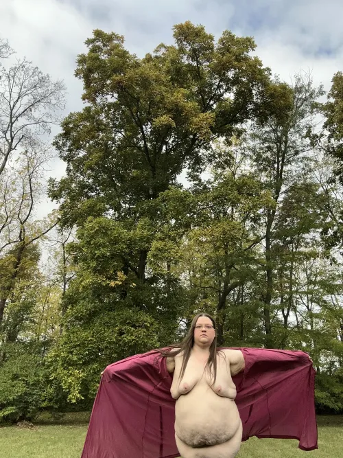 Thumbnail Honest_Curves_66: The Freedom and Wildness of Less-Strict Moments