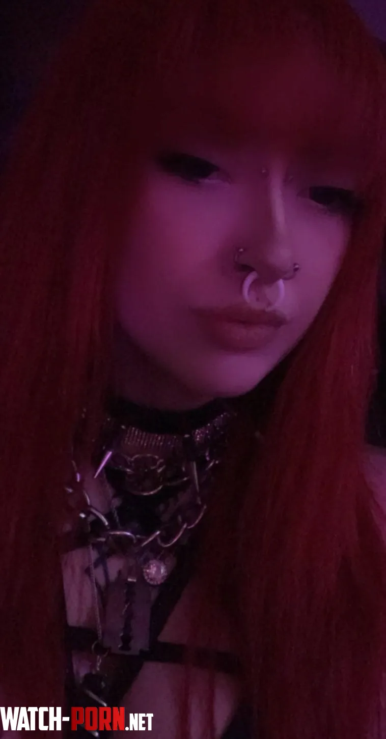 My leash should be in your hands by LivingDeadGothh