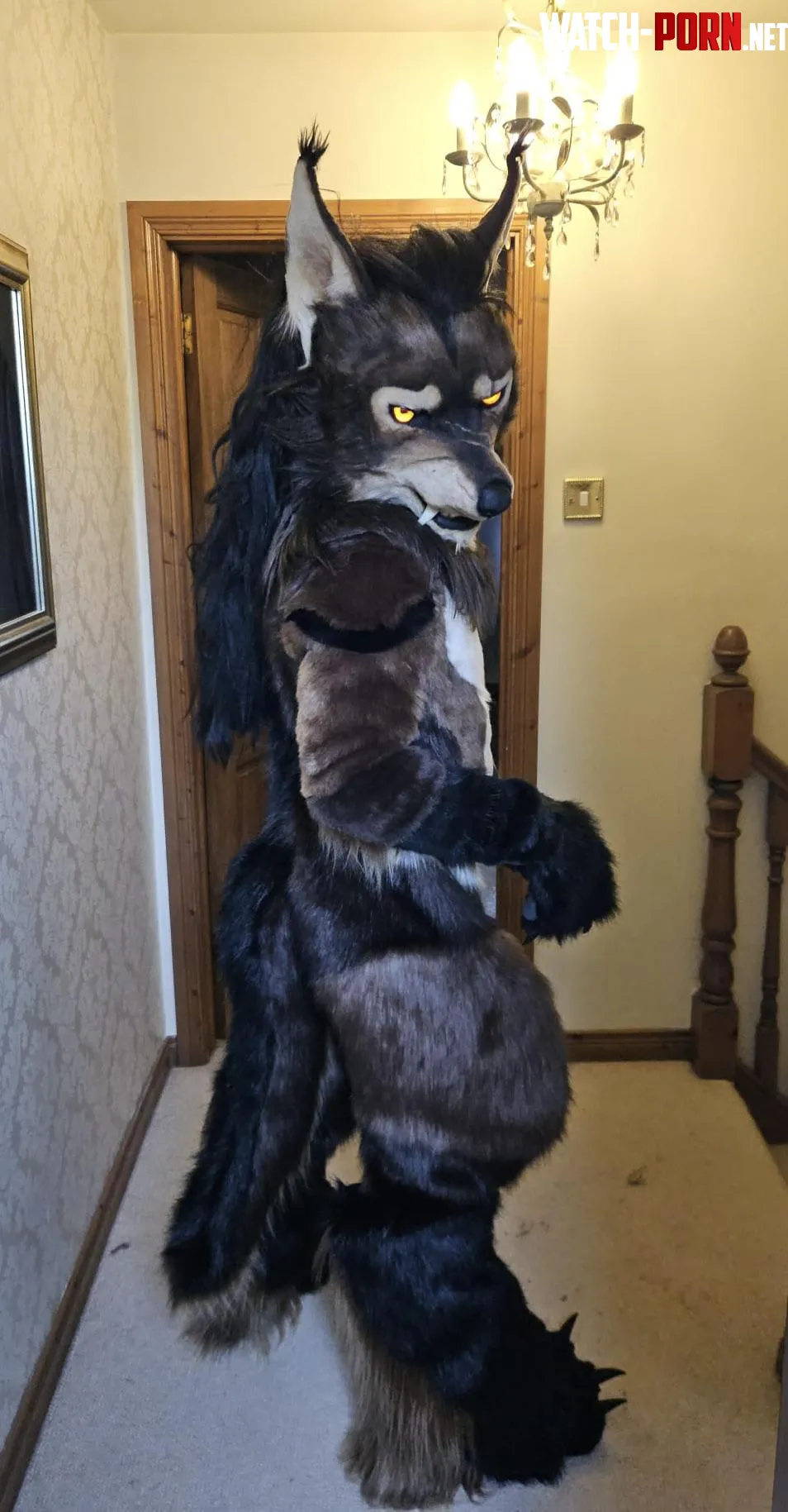 Trying on my fursuit for the first time gtD by GreyConriocht