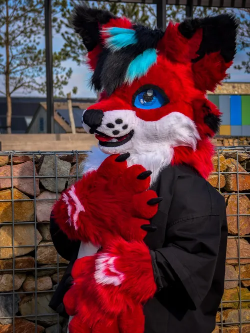 Thumbnail Intriguing Offer: Pricing for a Unique MiniPartial - jjarichee - furry