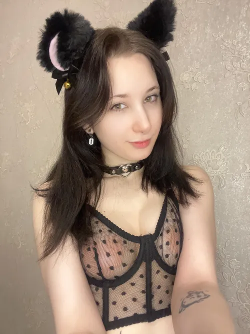 Thumbnail Collared and Claimed: A Journey of Submission by Witaysen196312