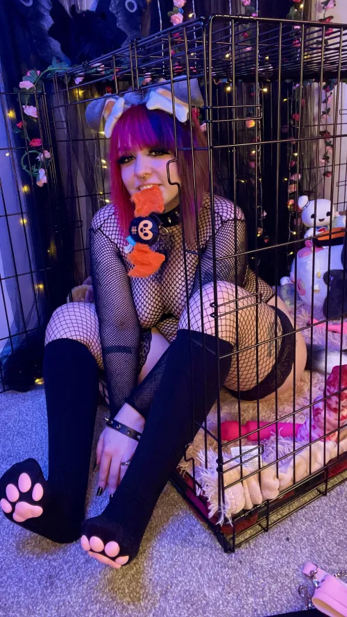 Thumbnail Gummyghostgirl's Experience with a Stimulating Breeding Session | emogirls