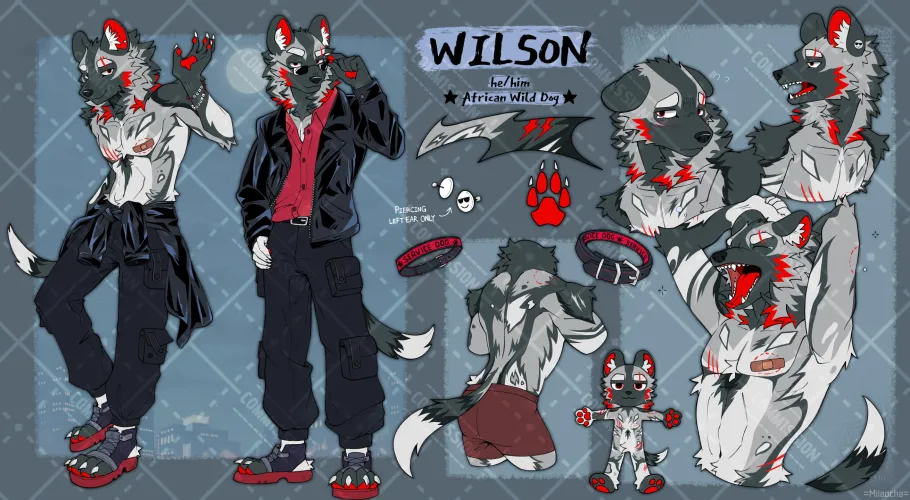 Thumbnail Dive into Furry Artistry: Ref Comm Finished by Miiaocha