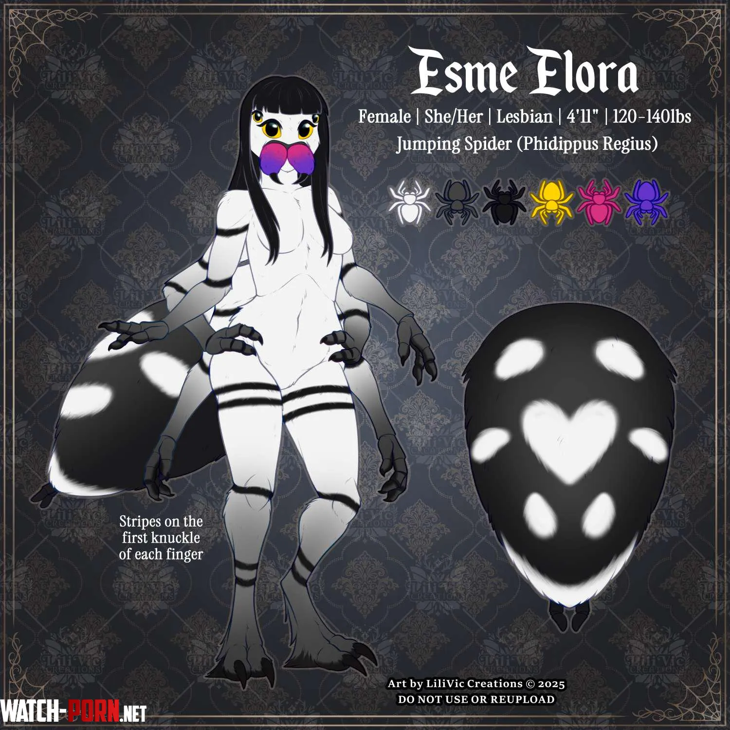 My Spider Fursona Character Sheet LiliVicCreations by esmeelora