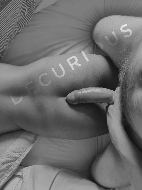 Thumbnail To New Beginnings and Adventures - Decurious' Perspective