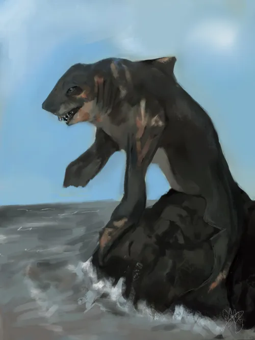 Thumbnail Shark Transformation by IncarnaTFs | Explore the Fascinating Metamorphosis