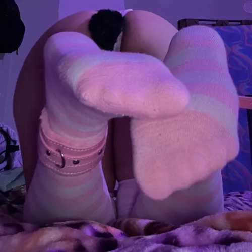 Thumbnail Bunny Duty Begins: MeasurementDue9304's Playful Petplay Journey