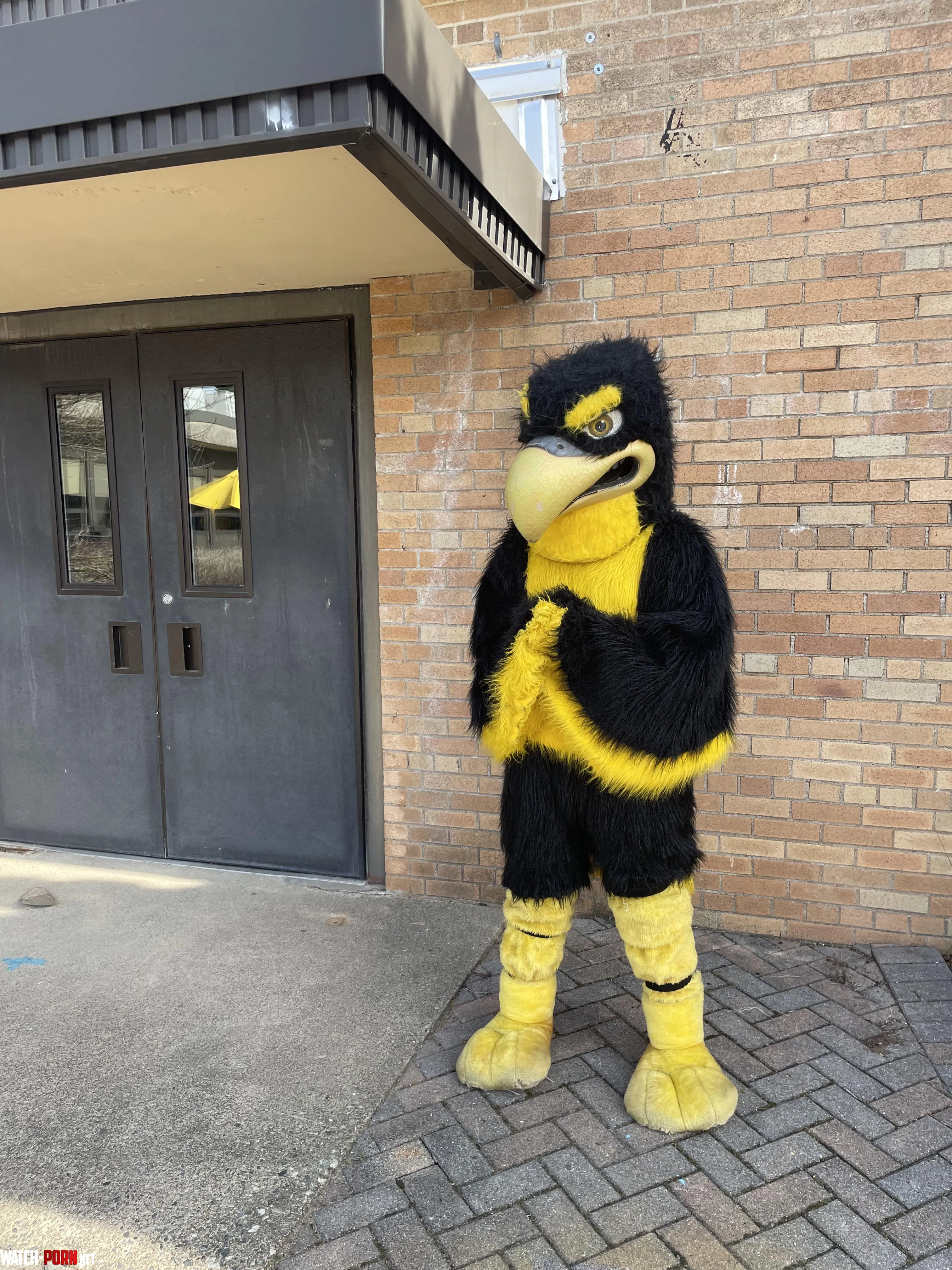 You know I had to do it to em by backlotparkingisopen
