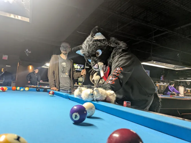 Thumbnail GarbanzoTrashPanda's Fun Time: Shooting Pool with Furry Friends