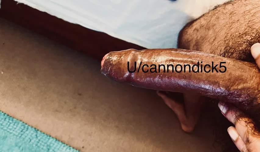 Thumbnail Stretching to Cream: GWAustralia Sensation | cannondick5