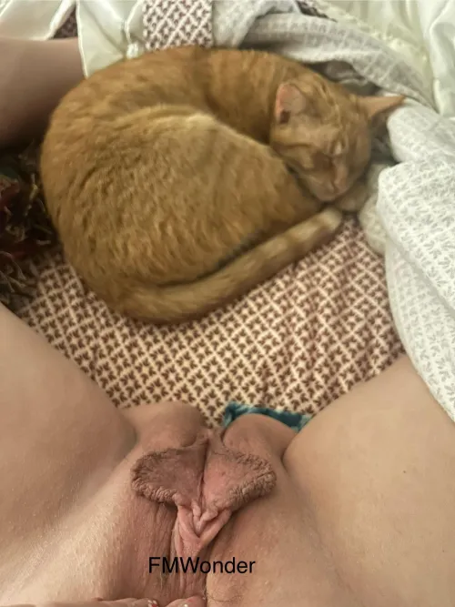 Thumbnail FMWonder Tempts with Choices: Which Gilf's 'Pussy' Do You Want? | gilf
