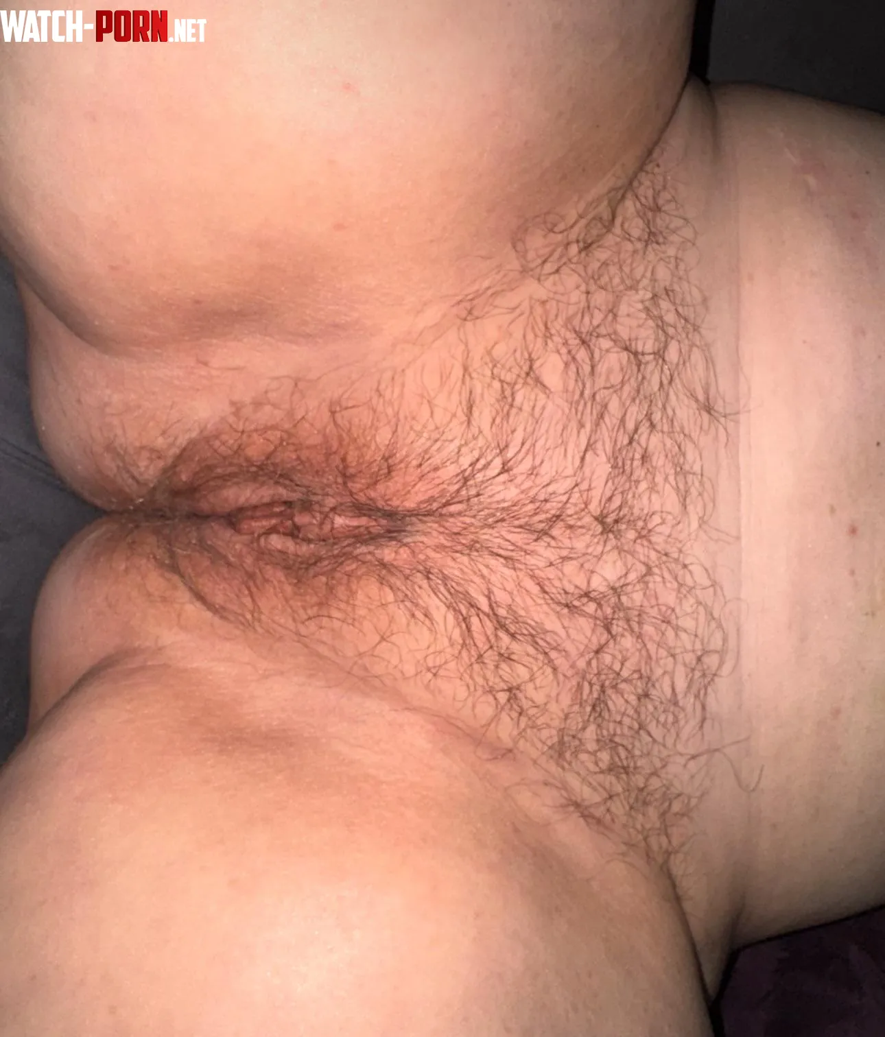 New to being hairy and trying to embrace my pubic Hair by Sevin_sins