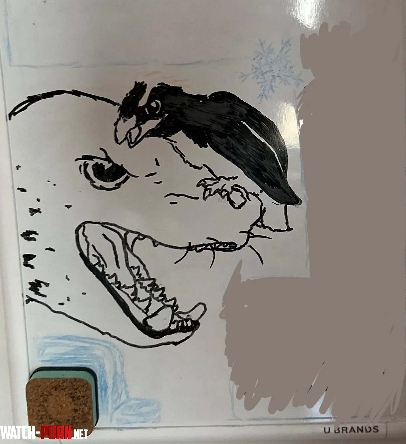 Angry seal by Nehocane