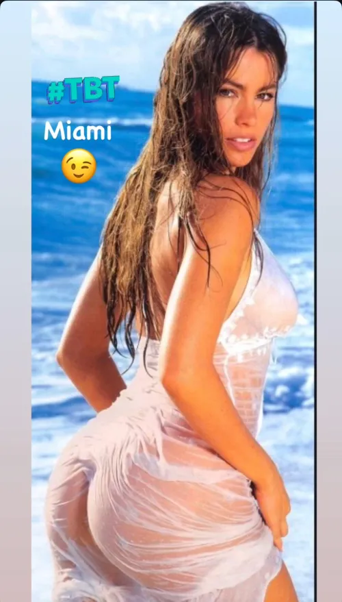Thumbnail Sofia Vergara by Muted-Cabinet9766