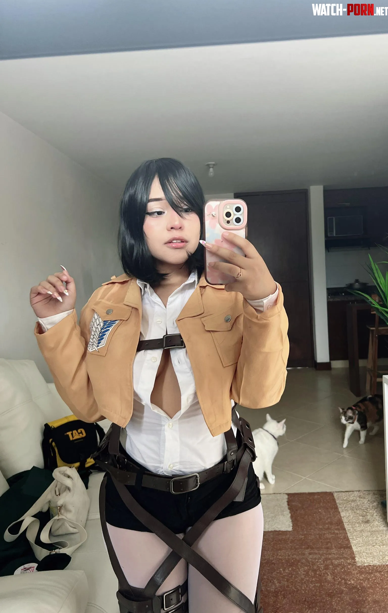 Mikasa Attack on Titan by Iwishufuckme