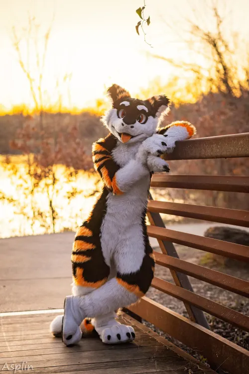 Thumbnail Furry Adventure: Fancy Seeing u here by SilySox