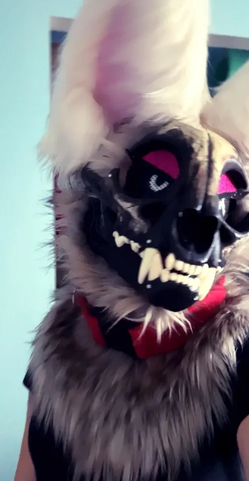 Thumbnail Going to FWA PLEASE Approach Me, I'm Very Friendly and Handing Out Stickers by strawberrypeachdaze | Furry