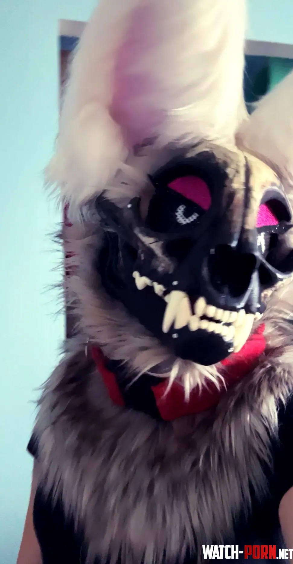 going to FWA PLEASEEE aproach me  im very freindly and handing out stickers by strawberrypeachdaze