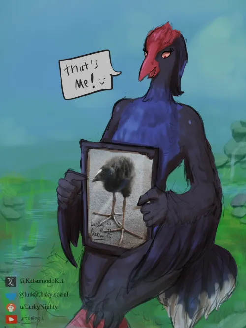 Thumbnail Pukeko Avian OC by LurkyNighty - Furry Category