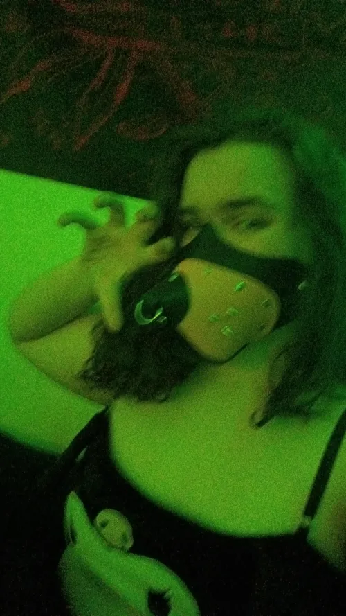 Thumbnail Exploring Petplay: Muzzle Adventures with muttizzz