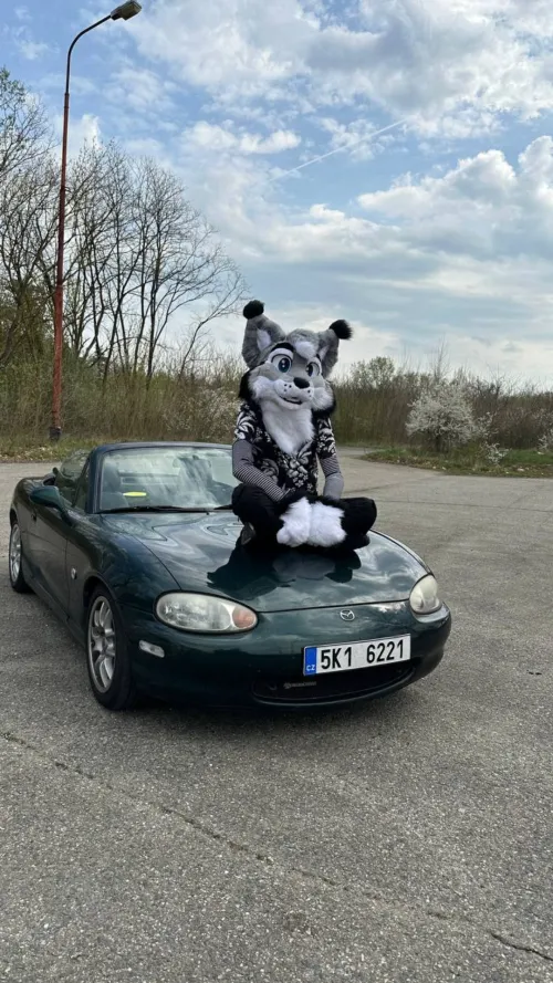 Thumbnail Becoming a Fursuit Owner | Lahafurry