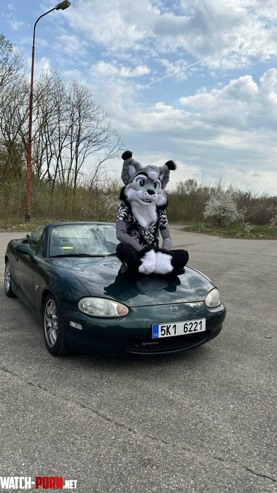 Welp the time has come I am a fursuit owner now by Lahafurry