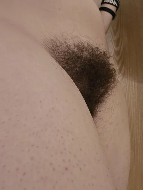 Thumbnail Never Go Hungry: electronicnotetaker on HairyCurvy