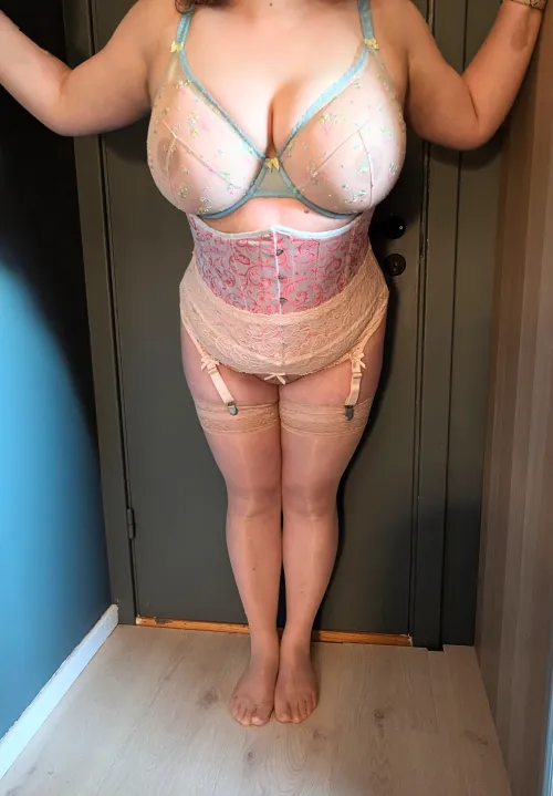Thumbnail Thecutestcreampie Gleefully Reveals Garterbelt Purchase | Lingerie