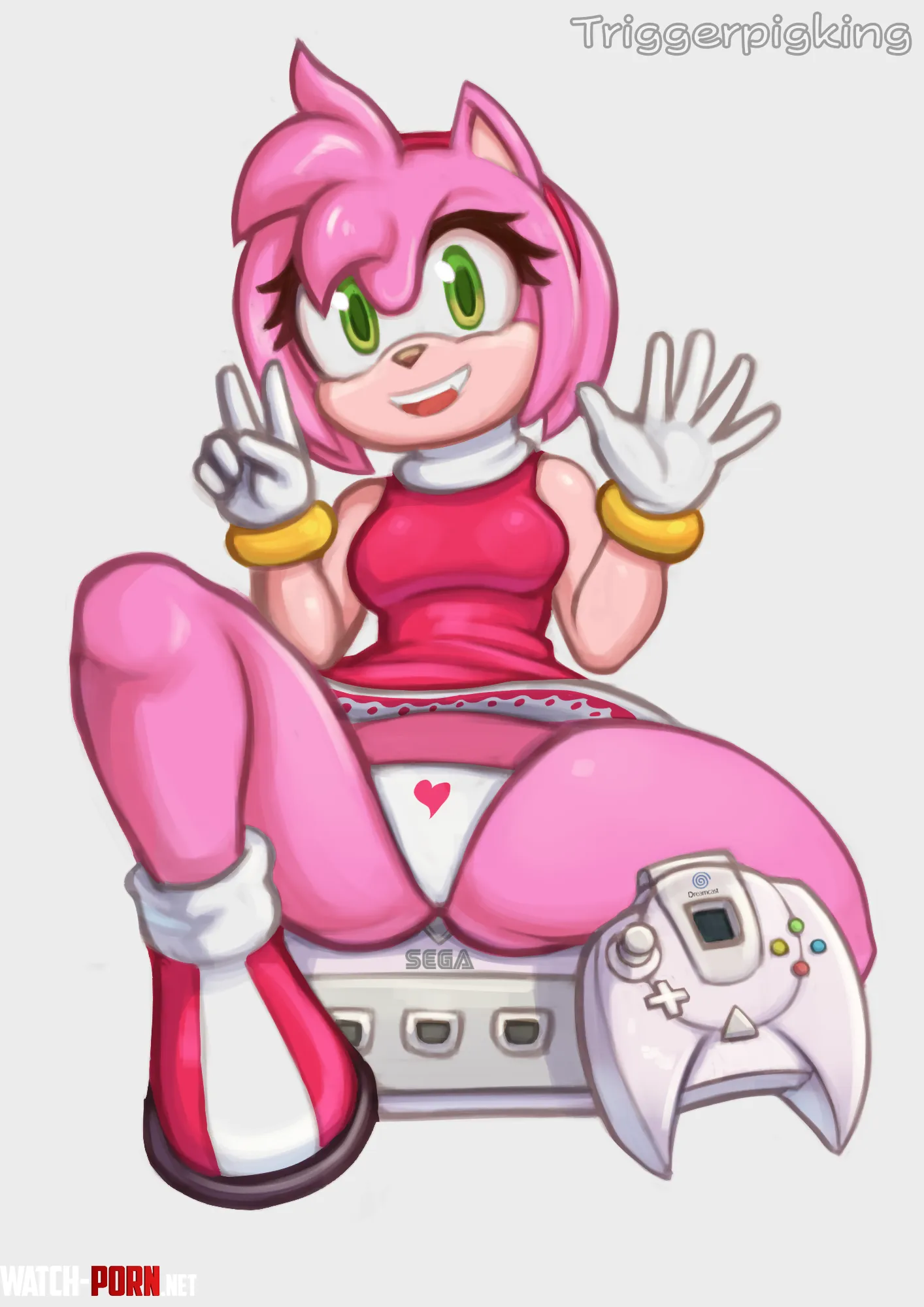 Amy Rose showing you how many games the Dreamcast library has (TriggerPigKing) by Ghost-of-Awf