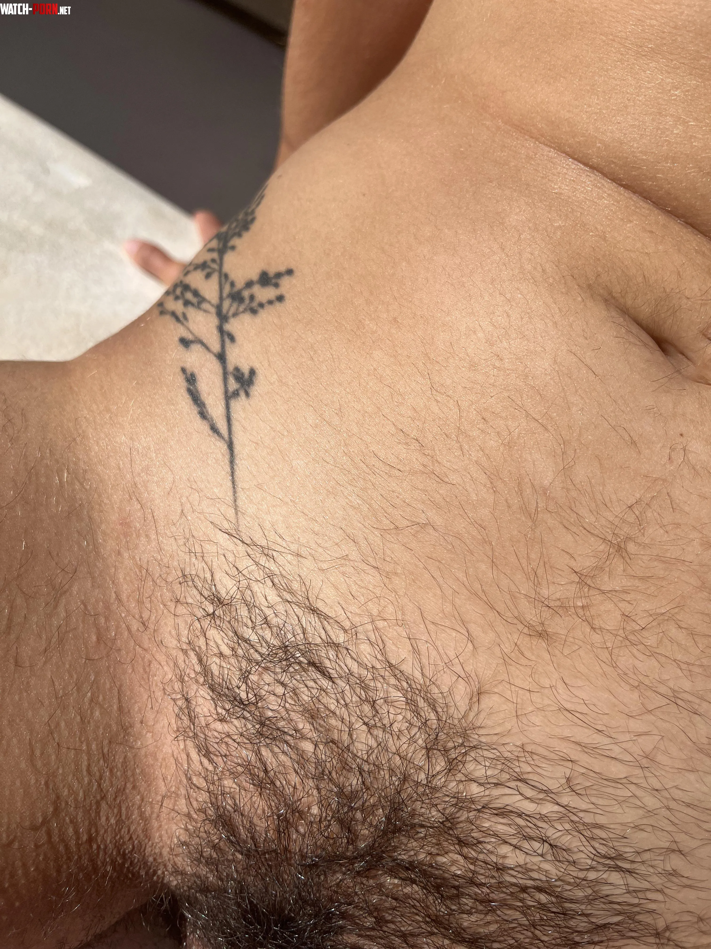 Hairy with a few tattoos by maplesyrup_girl