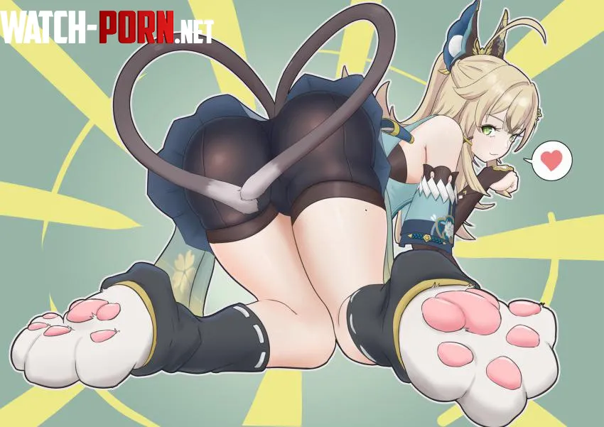 PAWSOCKS!!! (kirara) [genshin impact] by jeffy1122