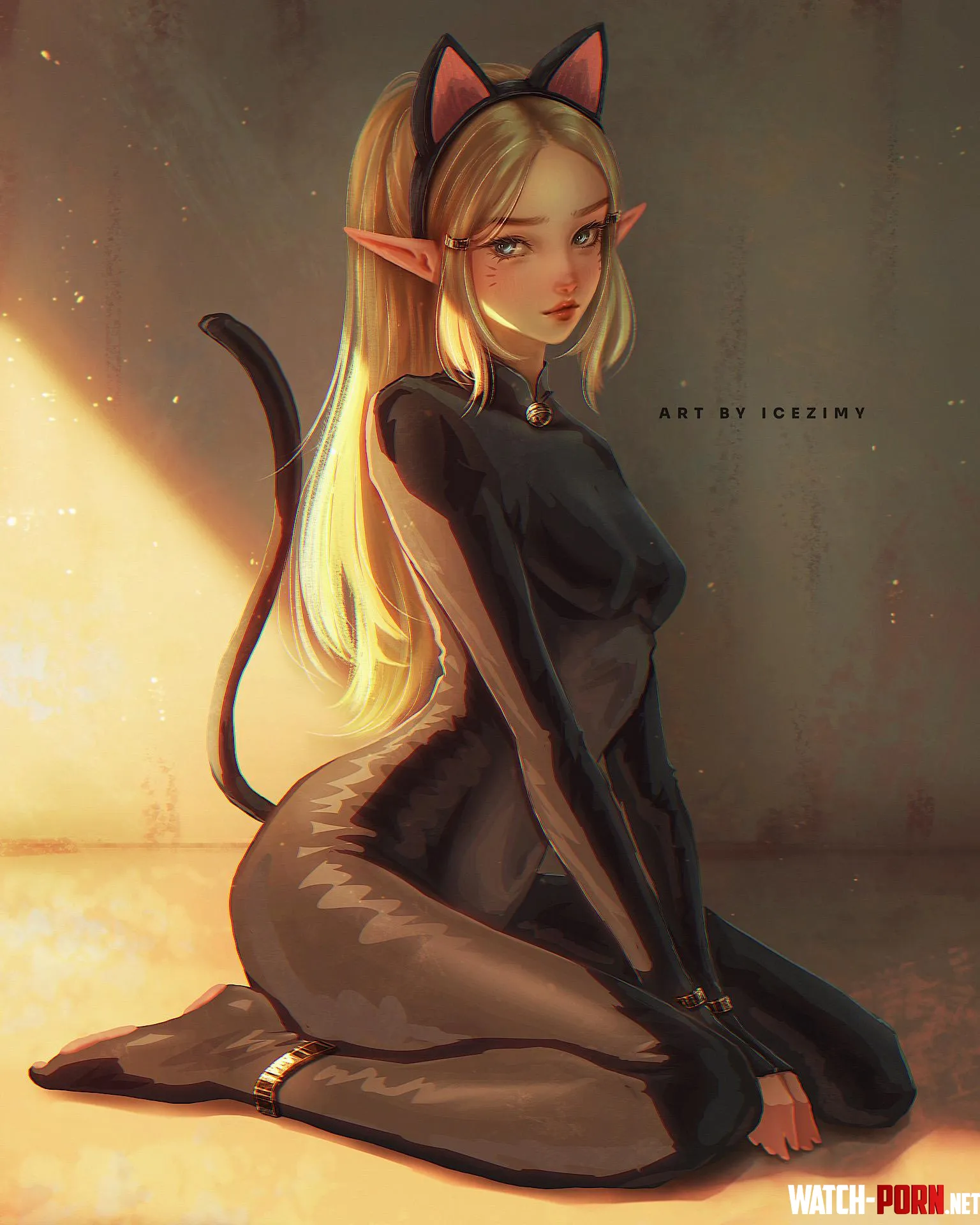 Zelda catgirl by Fox5900