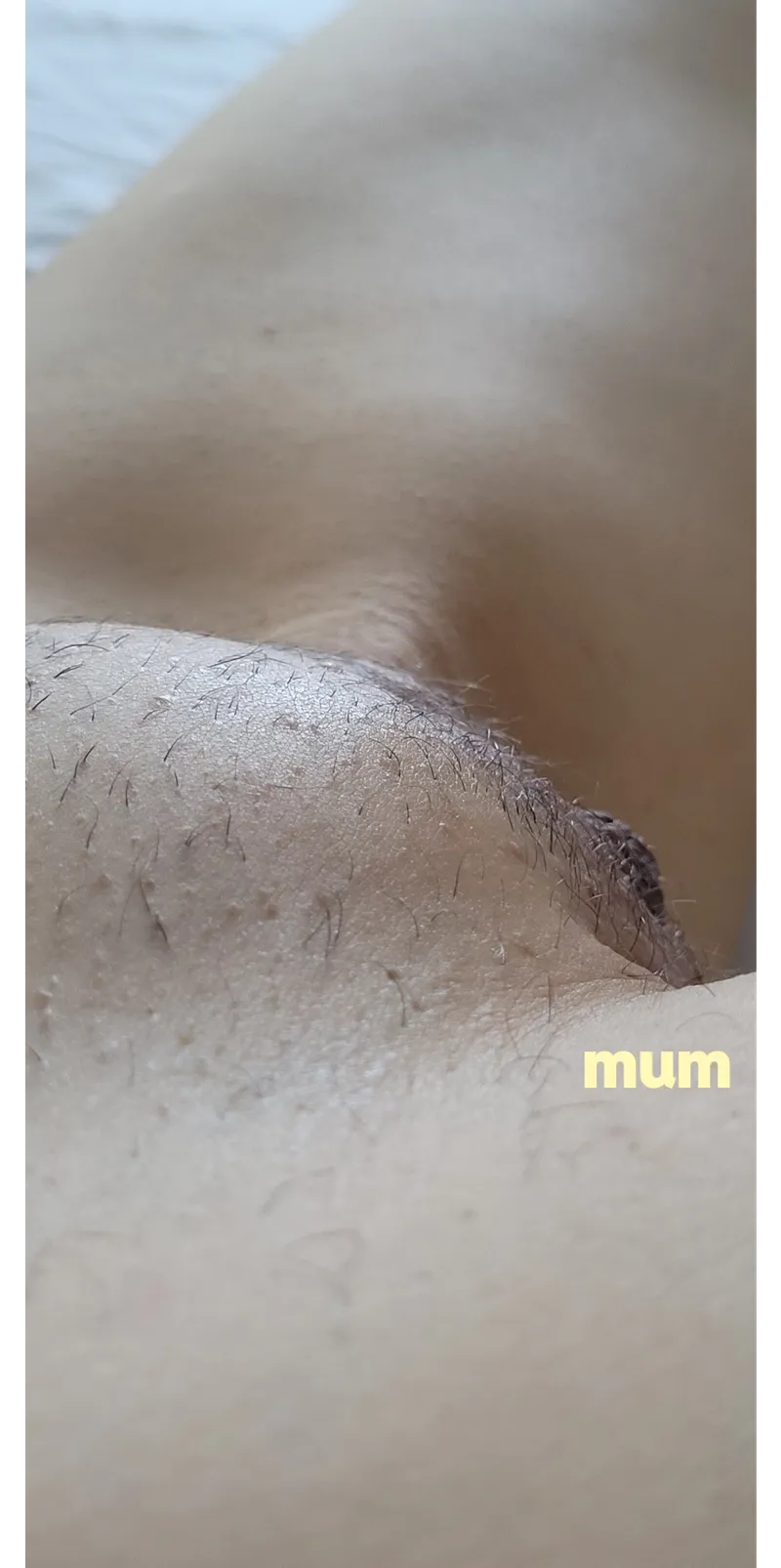 Thumbnail Claiming Ownership: Exploring sanapap's Mound
