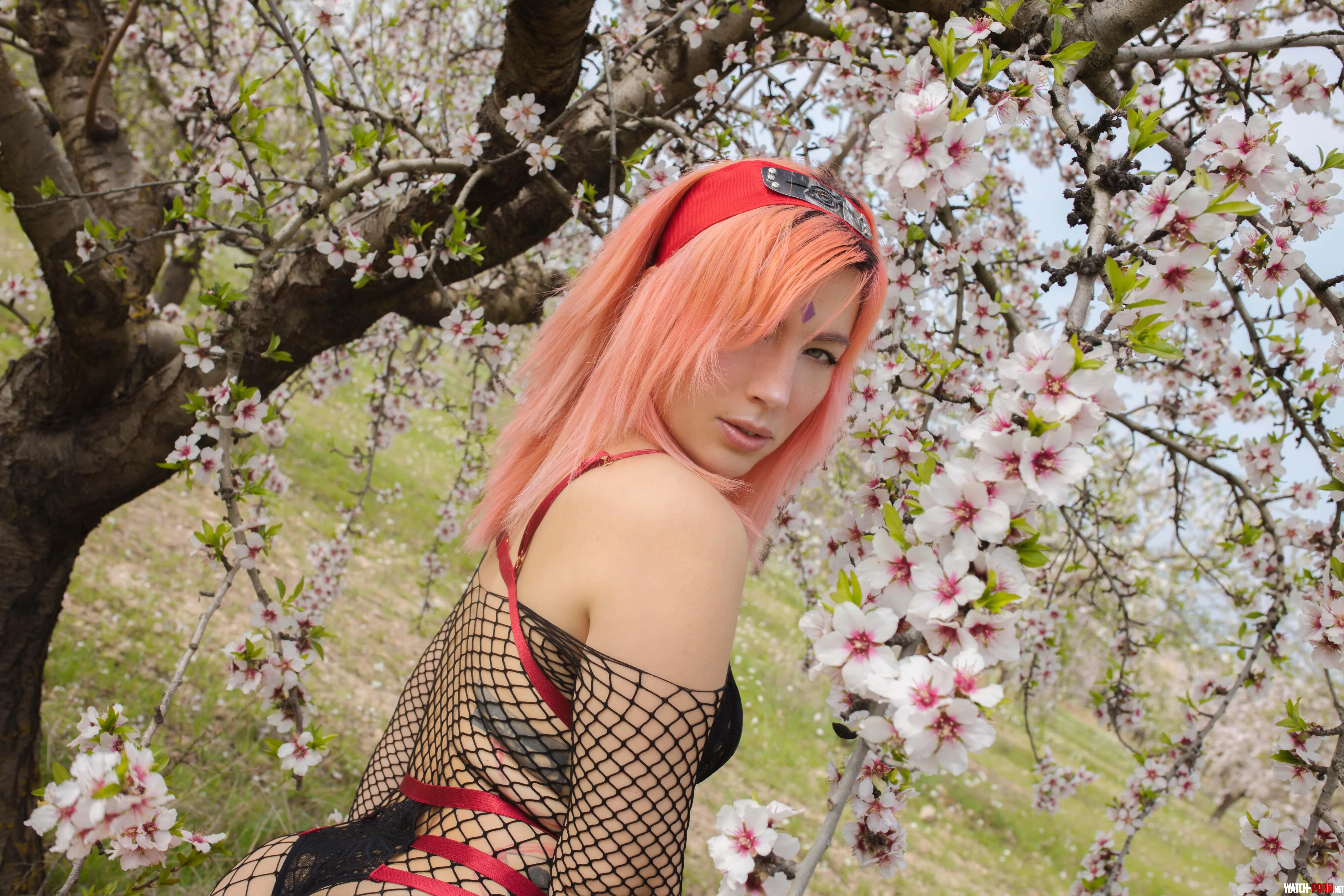 Sakura [naruto] by LivayDPunk by livaydpunk