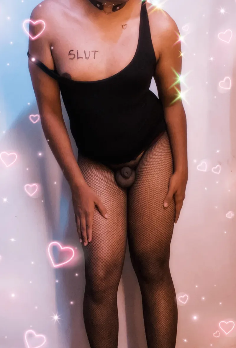Thumbnail Curiosity Unleashed: Exploring New Frontiers | asiansissification