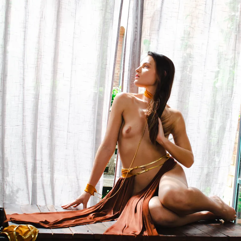 Thumbnail Princess Leia like Never Before: Captured by Aim