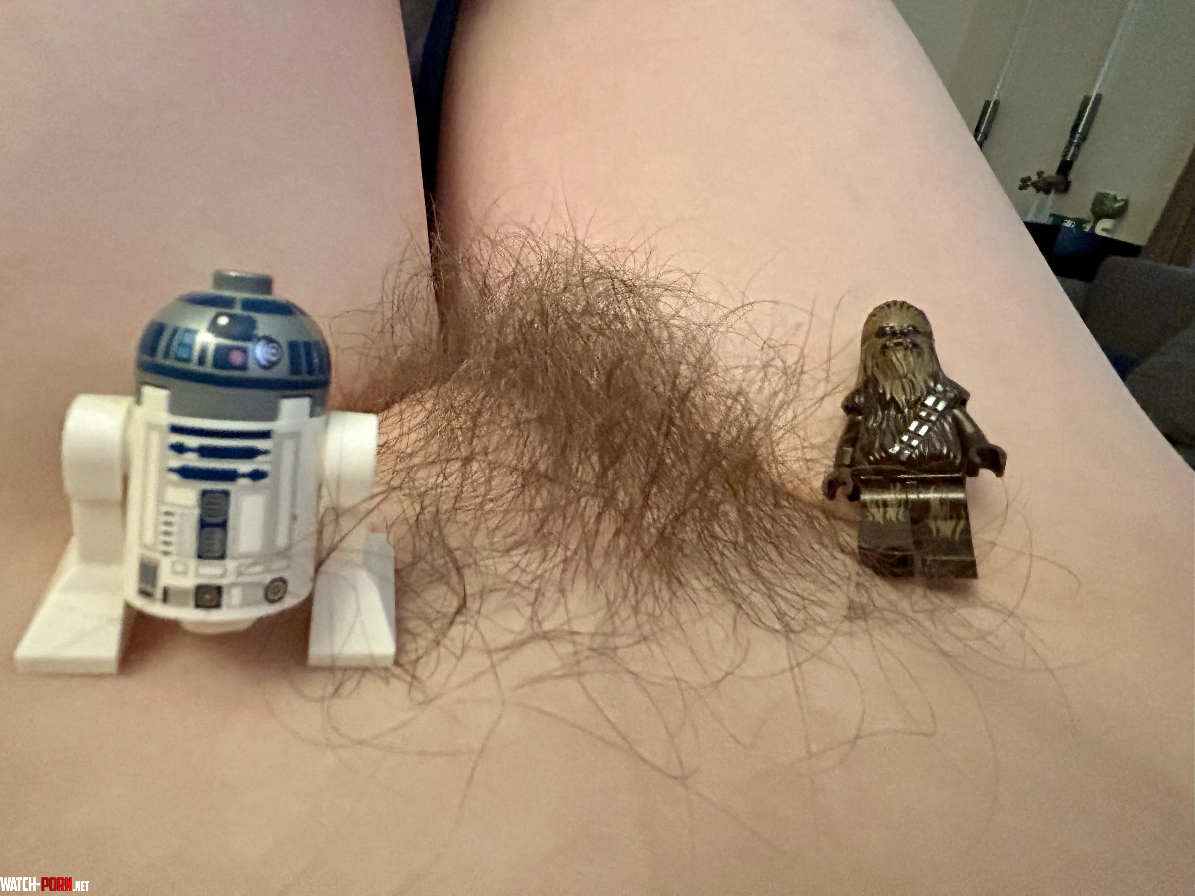 May the 4th be with you by sweetrosesbliss