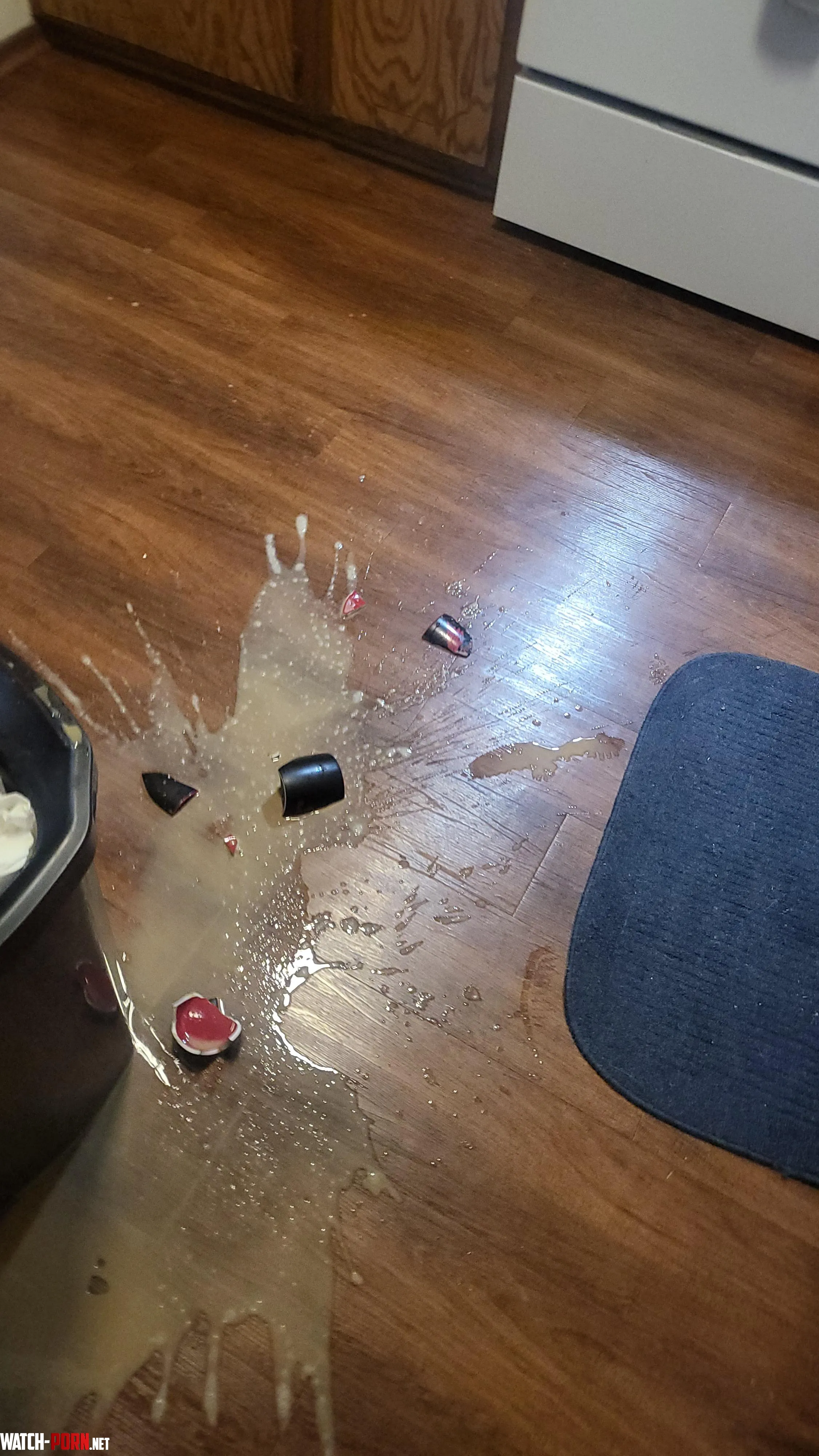Fuck my stupid chungus life by Zak_the_Wack