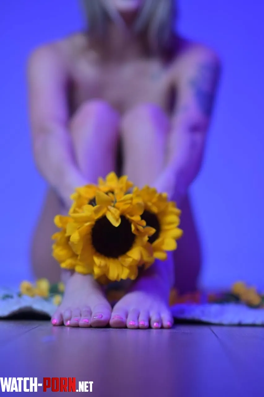 do you like sunflowers? by External_Ad_1089