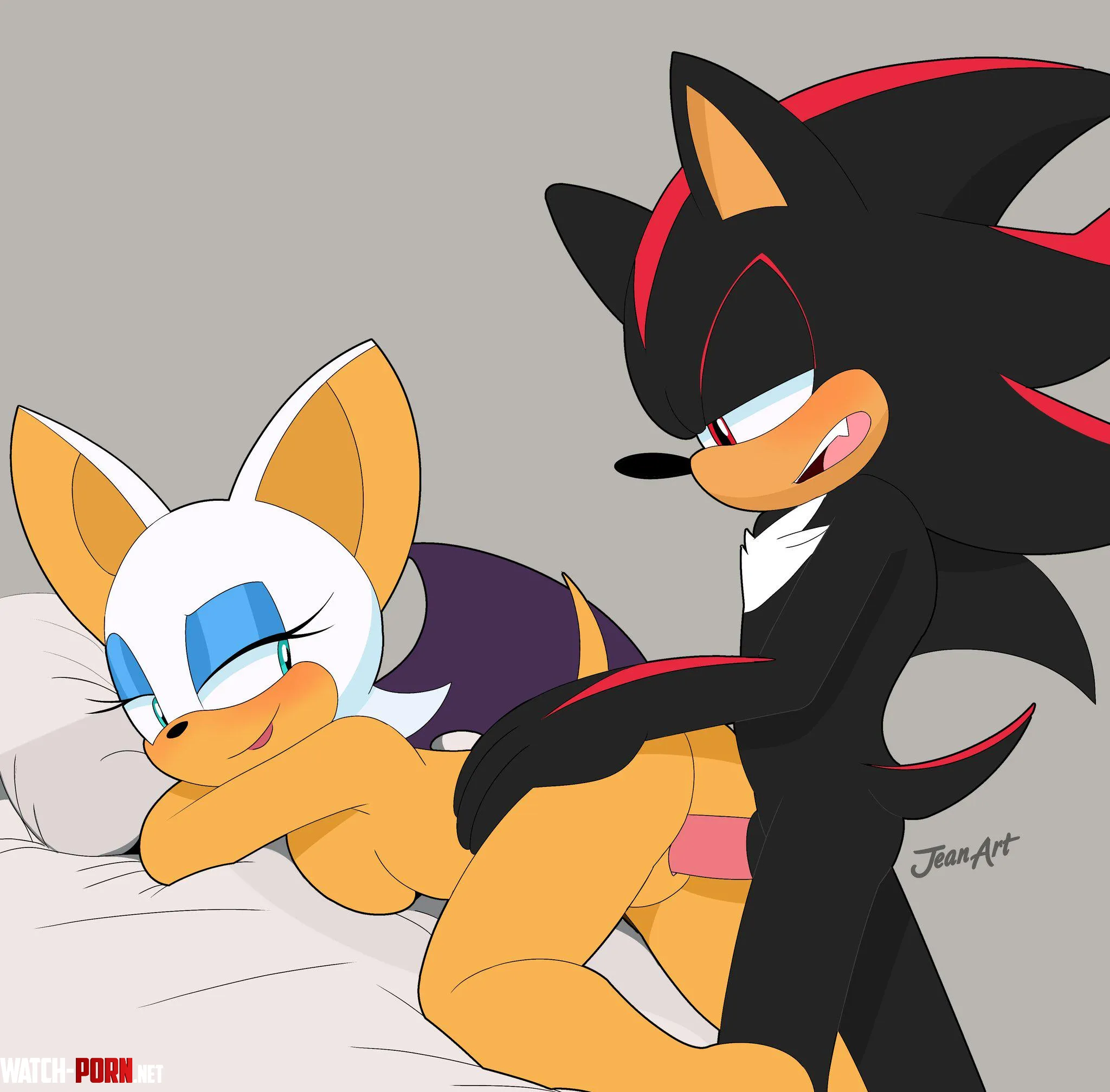 Shadow and Rouge fucking like pros [JeanArt] by CalloftheWild69