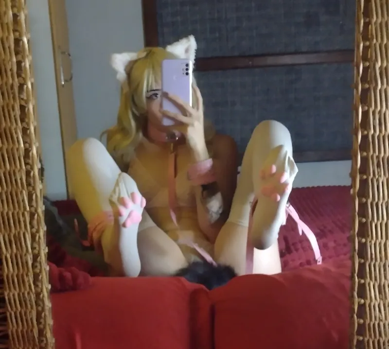 Thumbnail Endearing Plea: Pet Meow Meow | spreadeagle