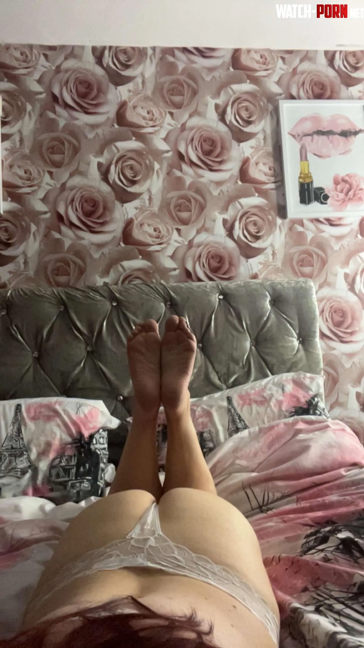 Happy Hump Day by amelia-rose85