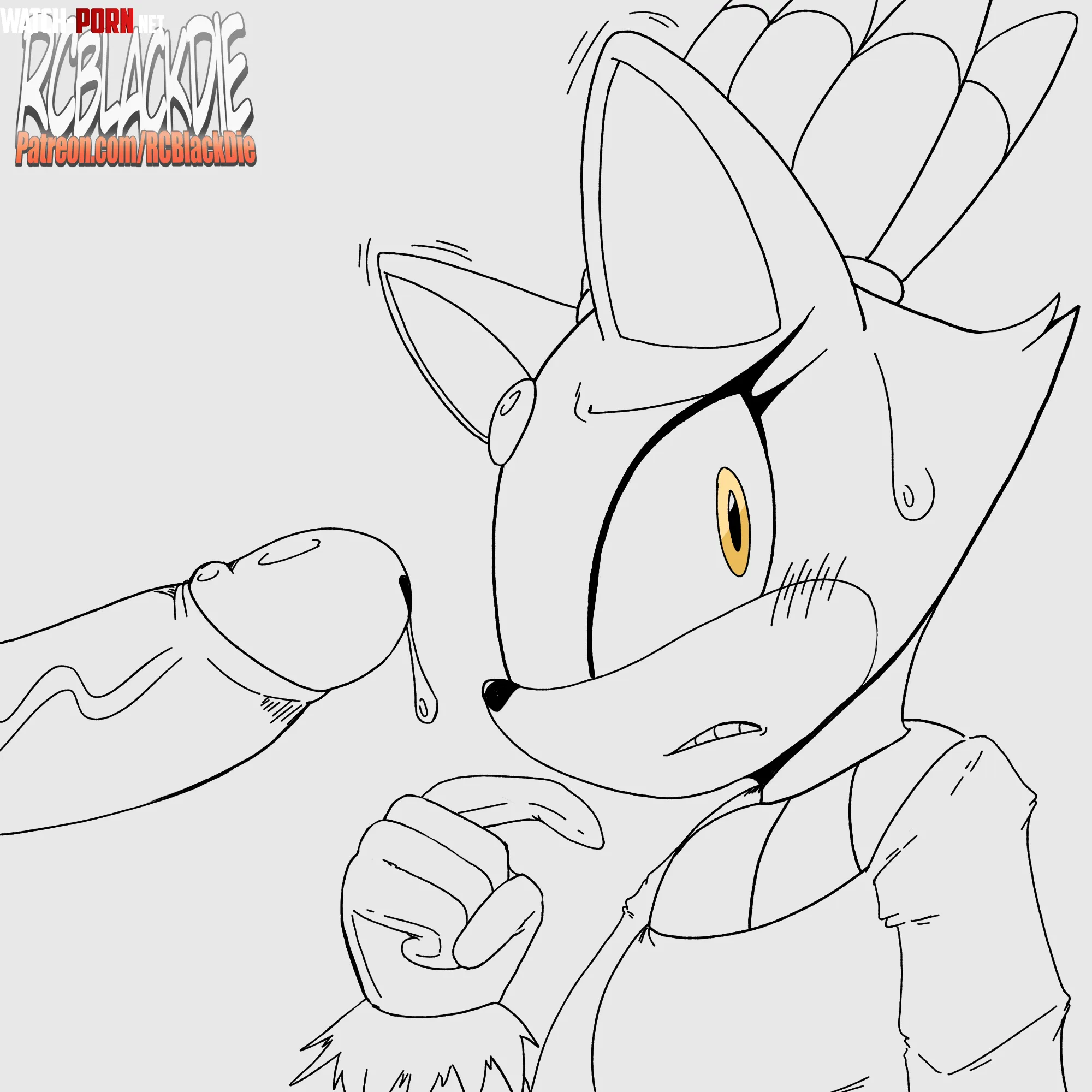 [FM] (Art By: RCBlackDie) The Princess Duty - Blaze The Cat (Sonic) by RCBlackDie