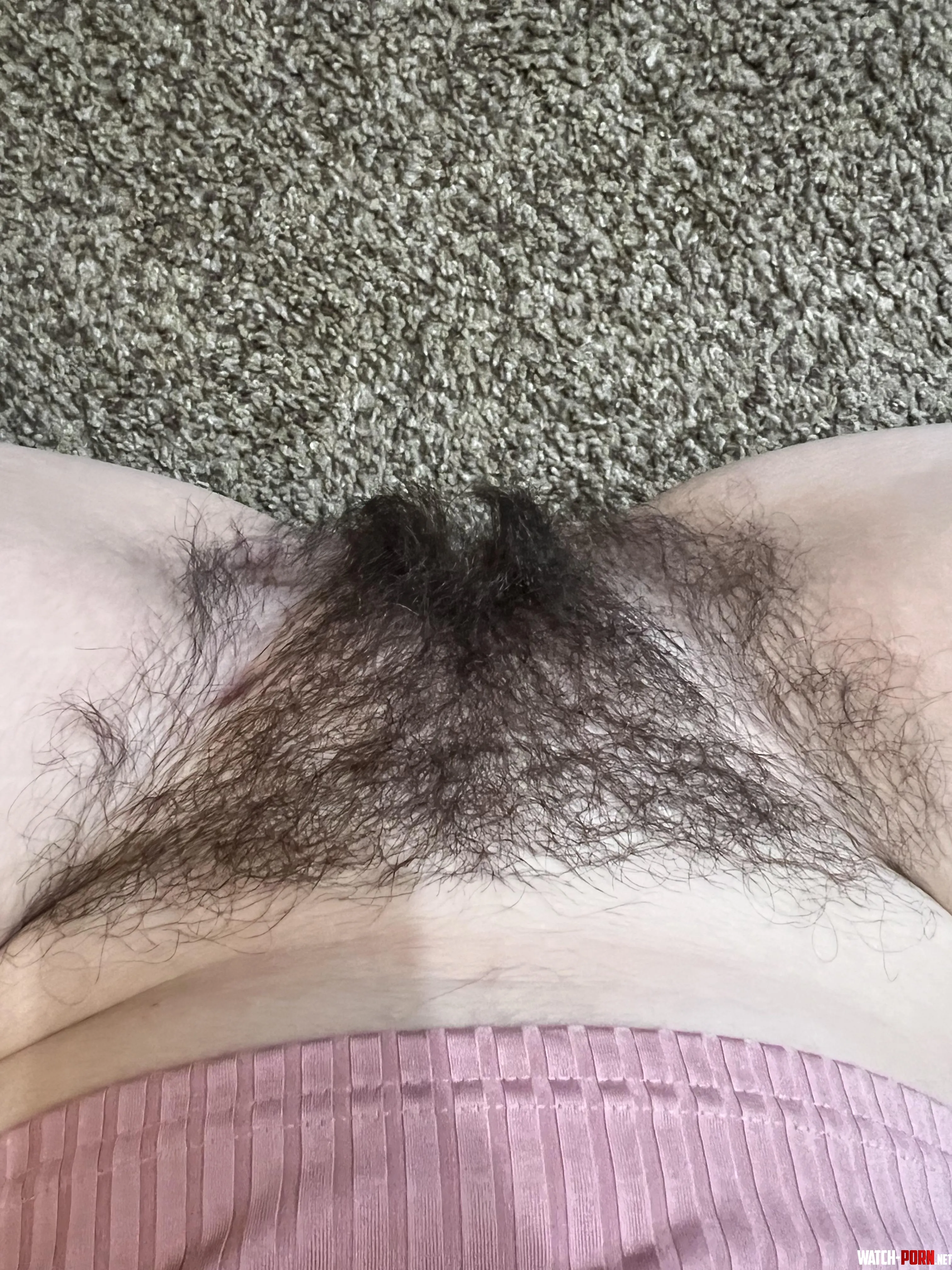 Should I keep growing out the hair around my pussy lips?👀 by baby_sophia20