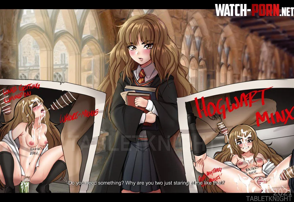 Hogwarts minxx (table knight) by Billy3414
